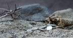 What Is Significant about the Field Bought with Coins Judas Received for Betraying Jesus? 